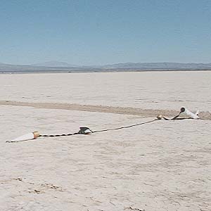 stuck in the lake bed