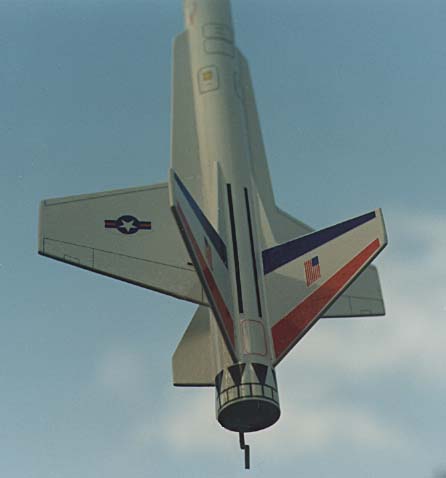 Intruder tail closeup